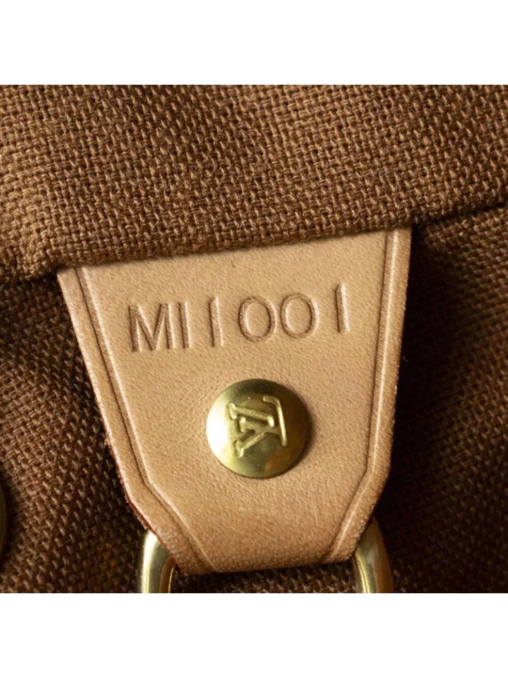 Louis Vuitton Montsouris Brown Monogram Canvas Backpack